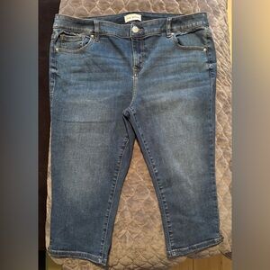 Lane Bryant - Straight Fit High Rise Pedal Denim